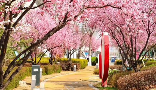 駛向春光里！城發(fā)集團(tuán)奏響“爭(zhēng)春奮進(jìn)曲”